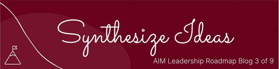 Synthesize Ideas - Blog 3 of 9 the AIM Leadership Roadmap 