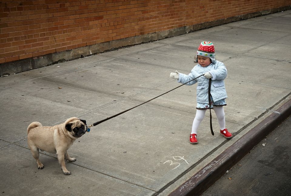 Girl pulling a dog leash