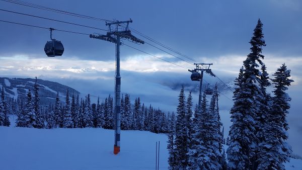 ski gondola over snow and trees 